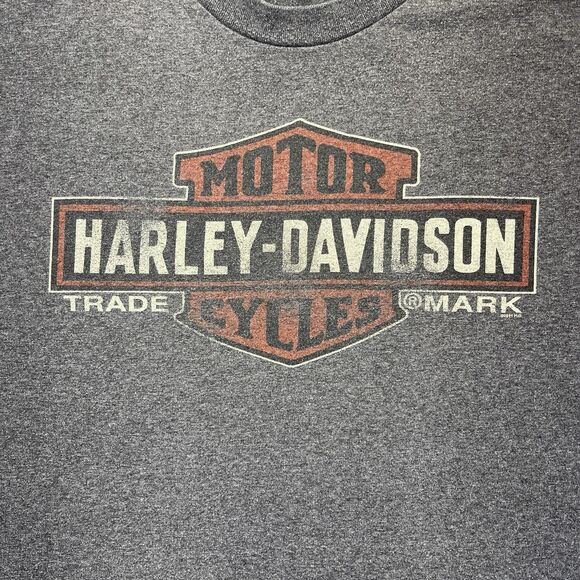 Harley Davidson 2011 Chandler AZ Mens 3XL - 4XL Gray T-Shirt USA Y2K READ - Picture 3 of 9